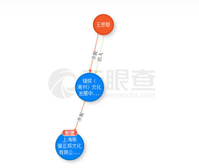 起底王思聰投資神話 吹出來的泡沫？